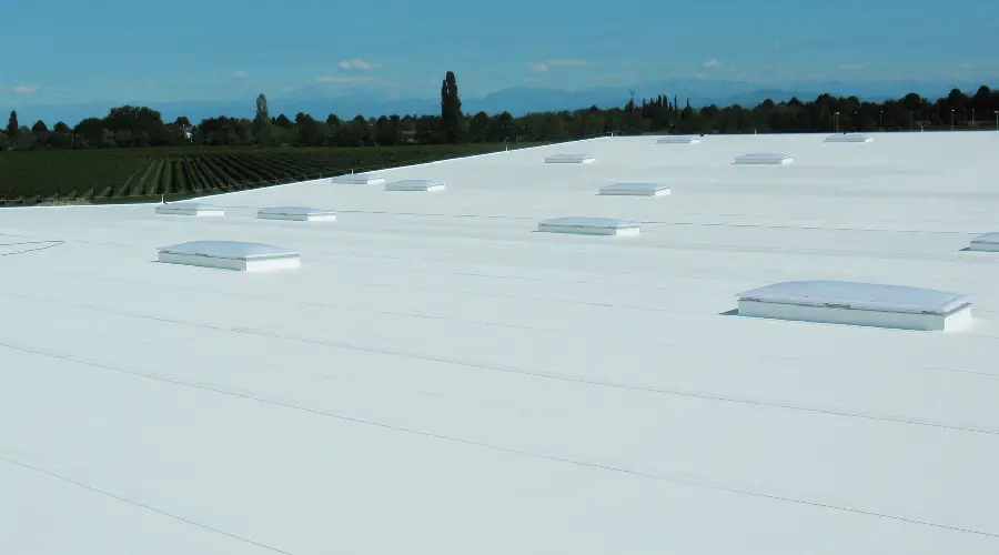 TPO vs. Metal Roofing: Which is Best for Your Commercial Building in Raleigh?