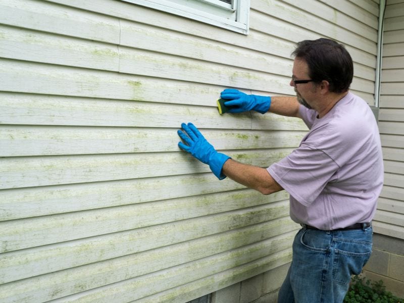 vinyl siding in capitol heights