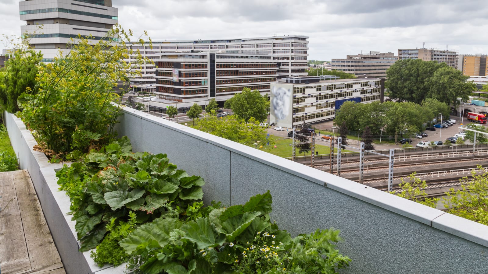 Eco-Friendly Innovations: Building a Sustainable Future with Karma Construction Group