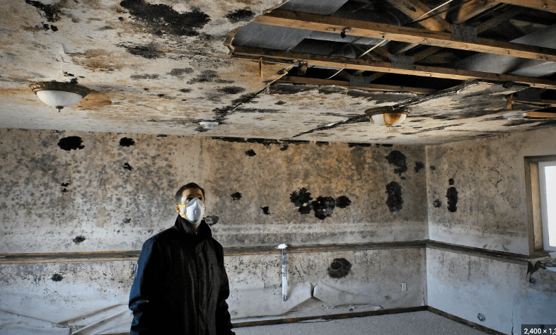 Battling Mold: Karma Construction Group's Commitment to Health and Safety