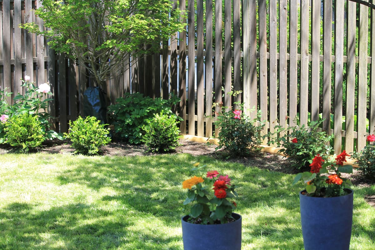 Backyard Patio & Landscape Renovation — Karma Construction Group
