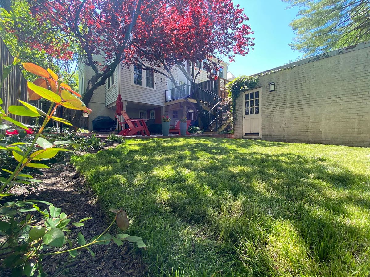 Backyard Patio & Landscape Renovation — Karma Construction Group